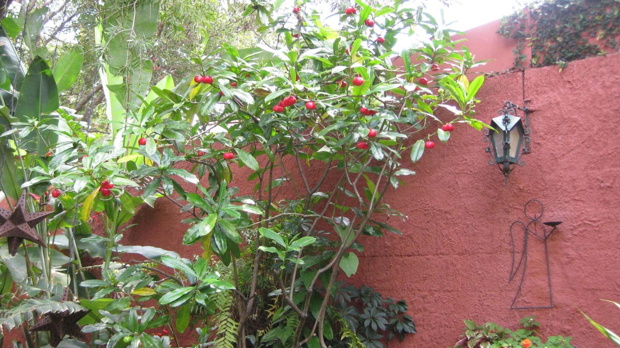 Bed and breakfast La Del Angel 3*